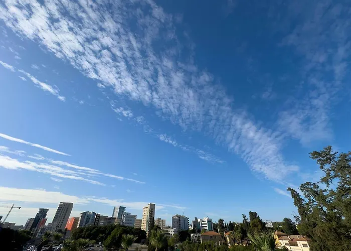 The Classic - Handwritten Collection ニコシア